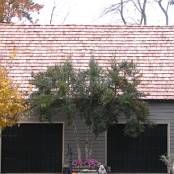 Cedar Roofing #13